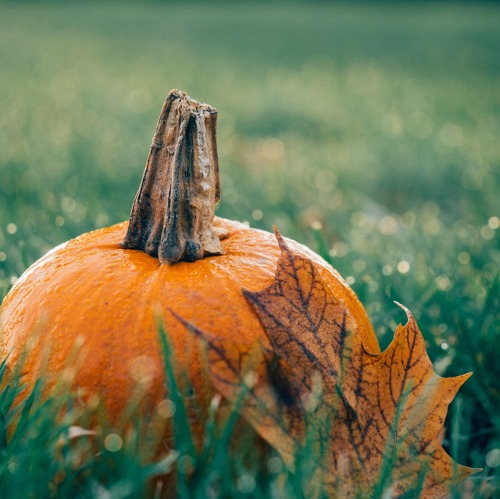 Oktober Aushang